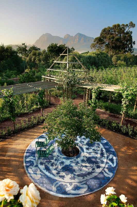 November at Babylonstoren