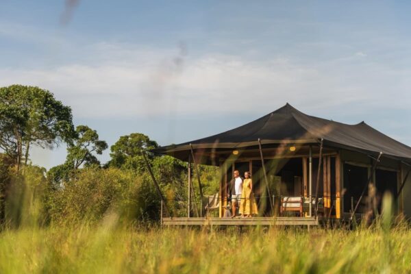 Wilderness Mara