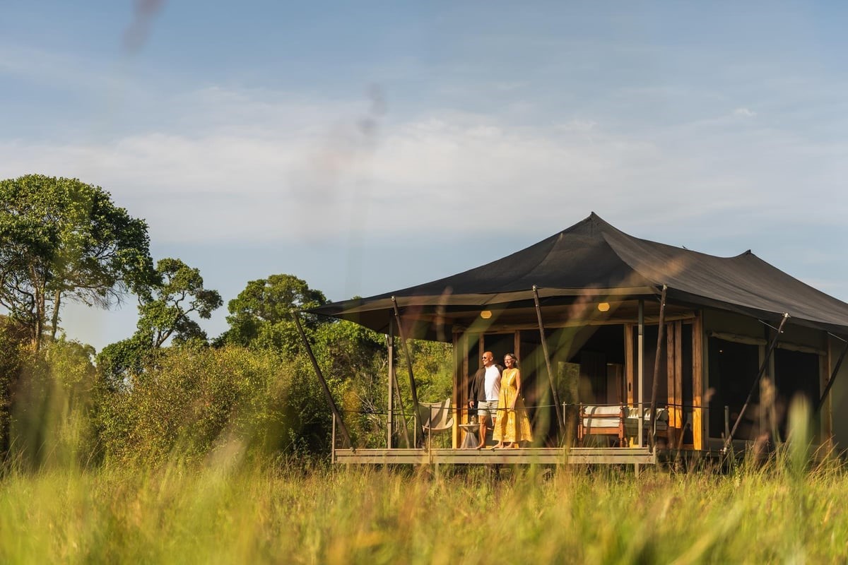 Wilderness Mara