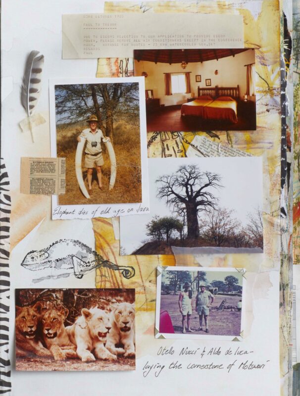 Fifty Years of Motswari