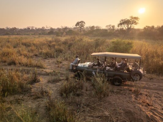 Tintswalo Scops Rest