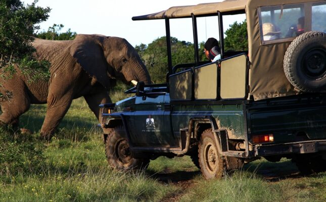 Sibuya Game Reserve