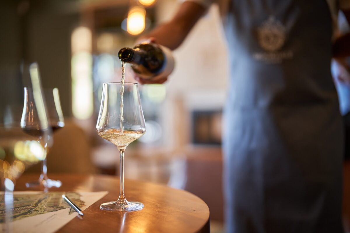 Brookdale Clay & Wine Fundraising Event